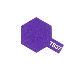 TS37 Spraydose Lavendel Brillant