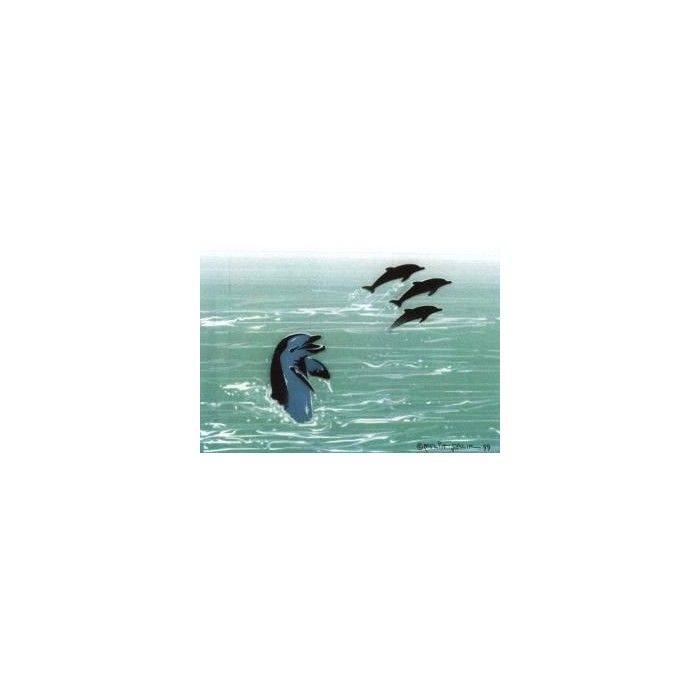 Schablone Delphin Set